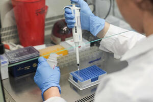 Preminulo šest osoba, još 533 novopozitivna