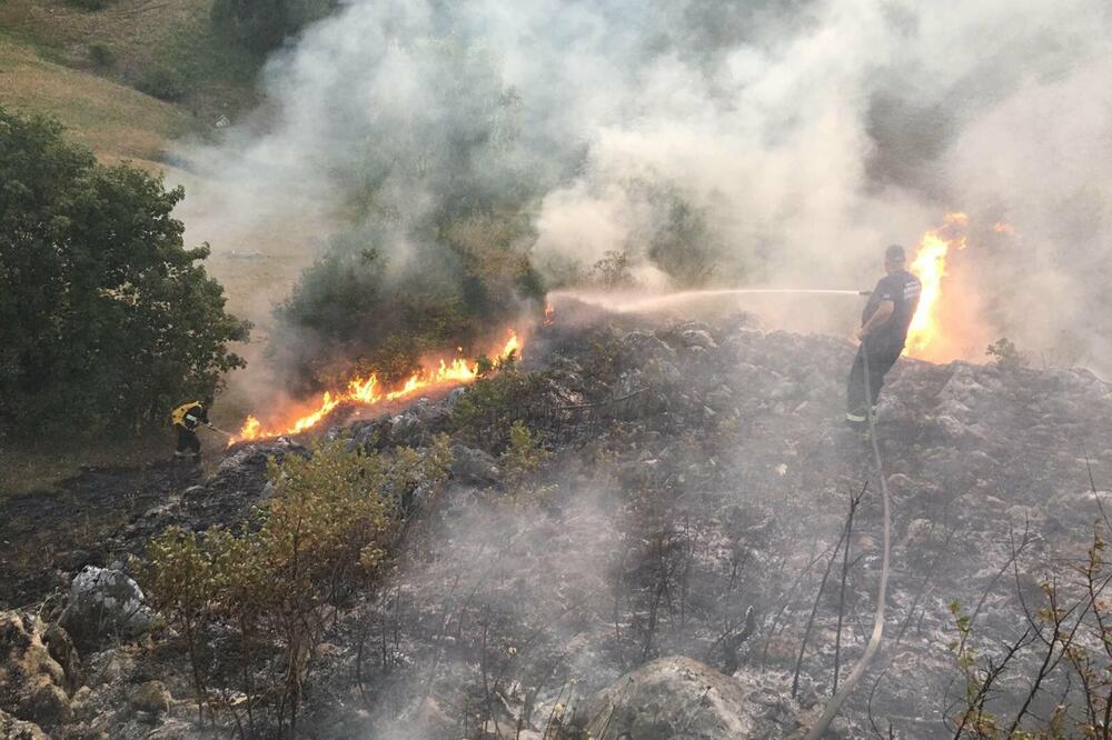 Jedan od požara u Nikšiću, Foto: Privatna arhiva