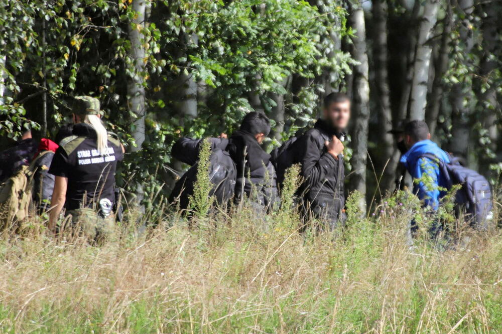 Detalj u blizini granice Bjelorusije i Poljske u blizini mjesta Usnaž Gurni, Foto: Reuters