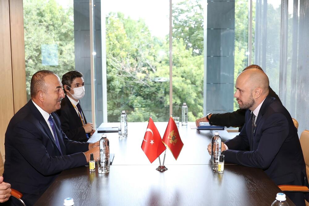 Čavušoglu i Radulović, Foto: MVP