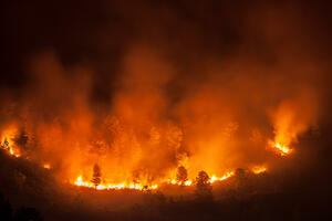 U Boliviji spaljeno oko 600.000 hektara zemlje: Uništeno ekološko...