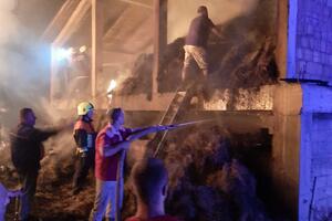 Požar kod Bijelog Polja: Izgorjela štala, 48 krava spašeno
