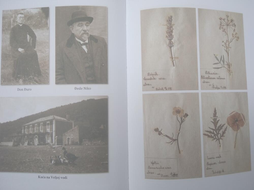 Detalj iz knjige 'Don Đuro'