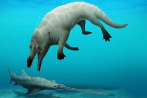 U Egiptu pronađen fosil nove vrste drevnog četvoronožnog kita