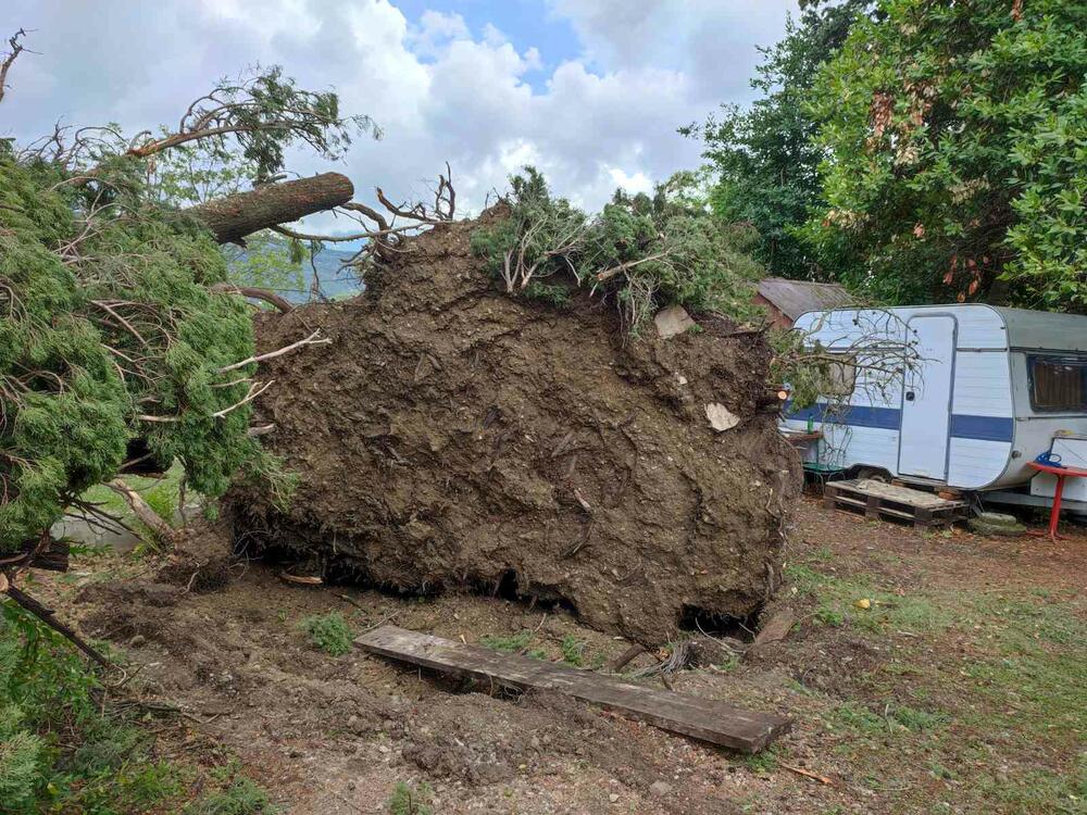 <p>Iščupano drveće oštetilo je i vodovodne i elektro instalacije pa je auto kamp "Bova" u Župi ostao bez struje i vode</p>