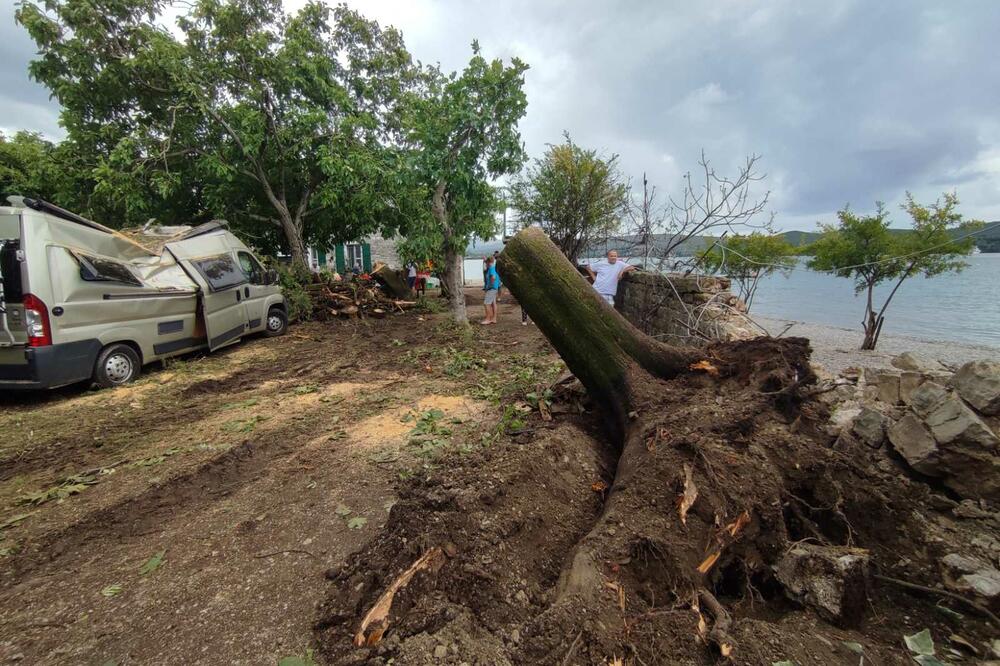 Foto: Siniša Luković