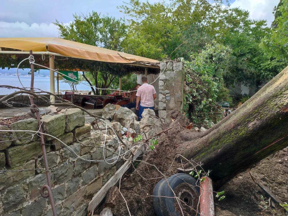 <p>Iščupano drveće oštetilo je i vodovodne i elektro instalacije pa je auto kamp "Bova" u Župi ostao bez struje i vode</p>