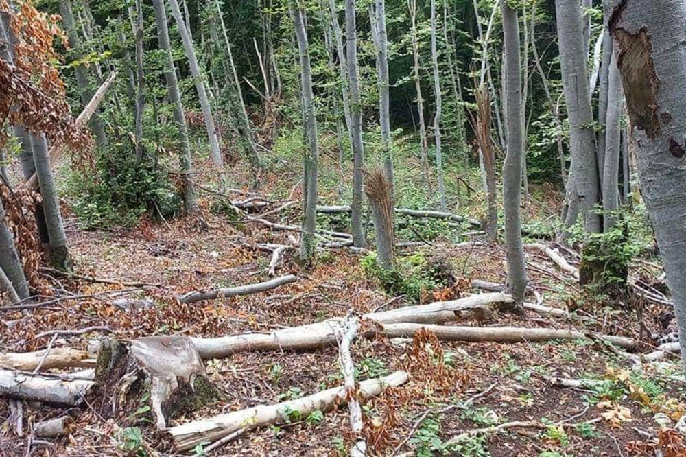 Foto: Privatna arhiva