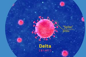 Delta soj se mnogo brže umnožava