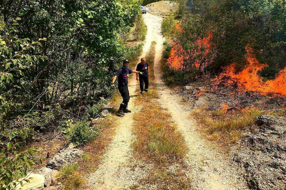 Nikšićki vatrogasci u akciji, Foto: Privatna arhiva