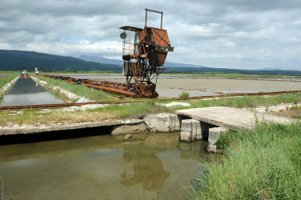 Davanje Solane Nacionalnim parkovima, napravljena šteta stečajnoj masi kompanije: Solana, Foto: Savo Prelevic