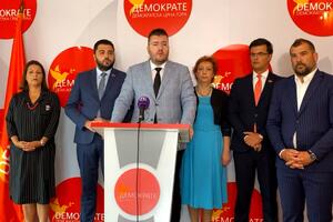 Koprivica: Država dokazala da je jača od bilo kojeg pojedinca ili...