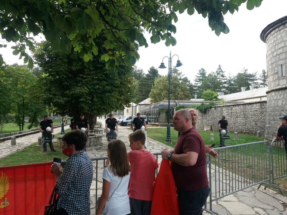 Protest Cetinje