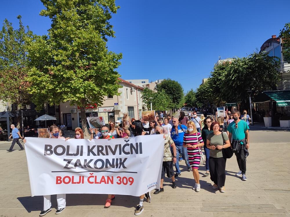 <p>"Danas dijete ne zna ni šta je mačka, ni šta je pas, ni šta je neka druga životinja. Apelovao bih da se prekine sa trovanjem pasa, ali sam isto tako i da se riješi problem onih koji su opasni i da se takvi psi sklone“</p>