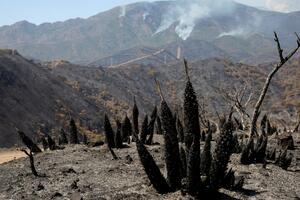 Požari u Španiji: Plamen kod Kosta del Sola natjerao hiljade...