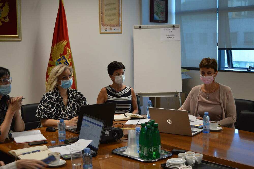 Sa on-line konferencije, Foto: Ministarstvo zdravlja