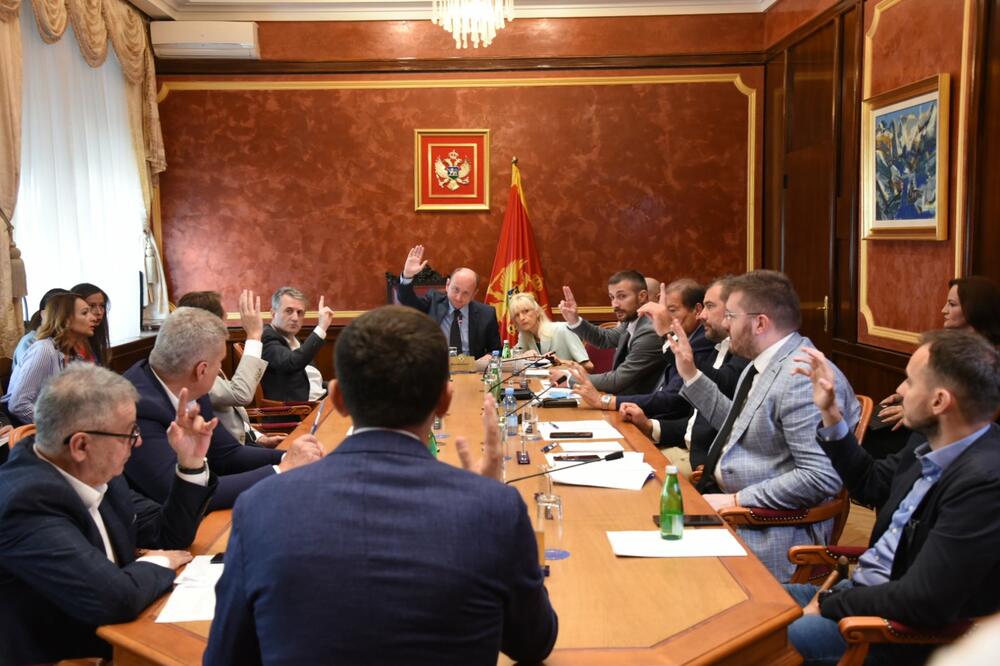 Sa sjednice Odbora za bezbjednost i odbranu, Foto: Savo Prelević