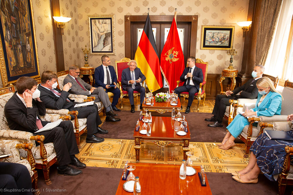 Štefan Holthof Fertner, Aleksa Bečić