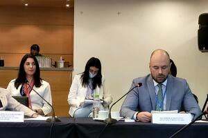 Radulović: Crna Gora ostaje dosljedna miru i stabilnosti u...