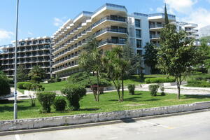 Institut u Igalu u minusu 2,58 miliona