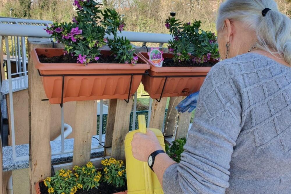 Foto: Tatjana Đorđević Simić/BBC