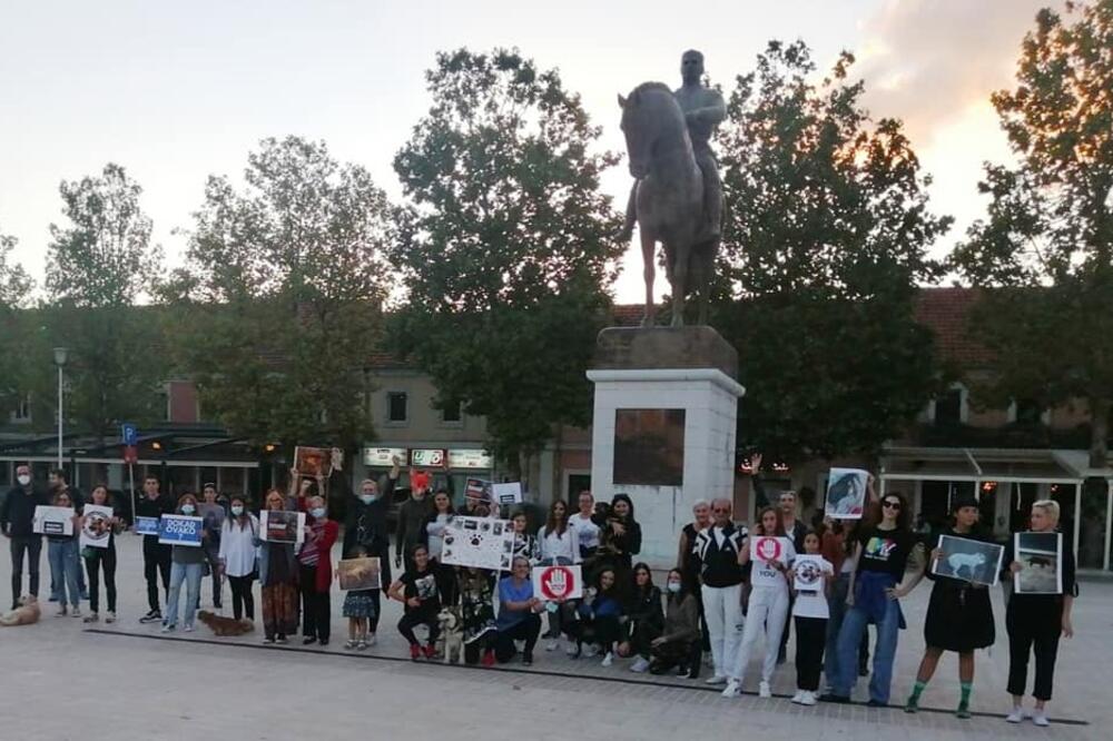 Sa protesta u Nikšiću, Foto: Udruženje