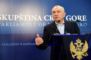 Radulović: U pitanju je tehnički propust