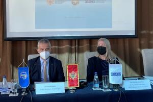 Brđanin: Jedinstvenim djelovanjem doprinosimo zaštiti...