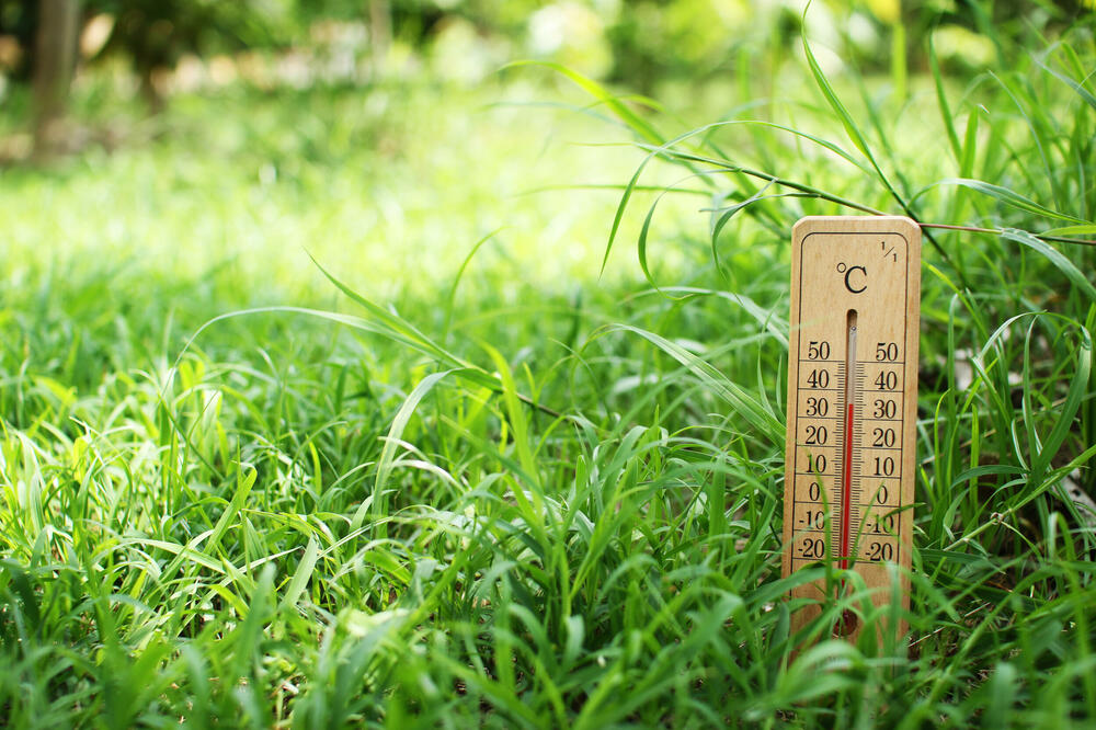 Ilustracija, Foto: Shutterstock