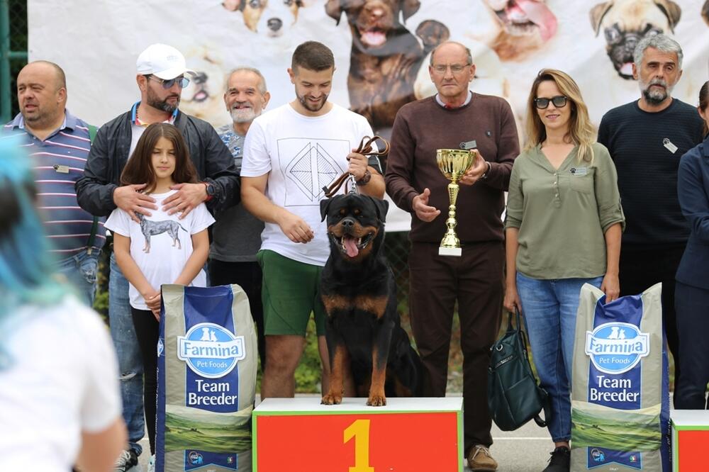 Pobjednik izložbe, Foto: Privatna arhiva