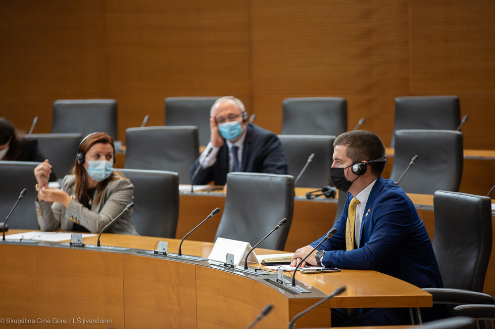 Bečić na samitu, Foto: Skupština Crne Gore