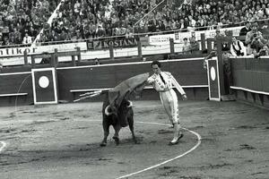 Jugoslavija i borbe s bikovima: Pola vijeka od beogradske koride,...