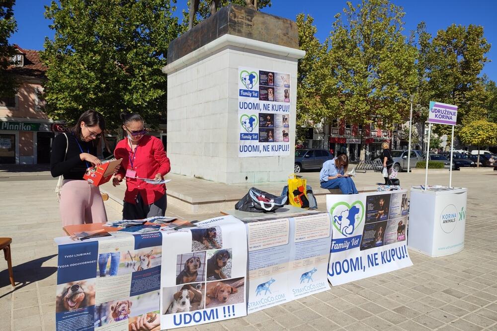 Foto: Svetlana Mandić