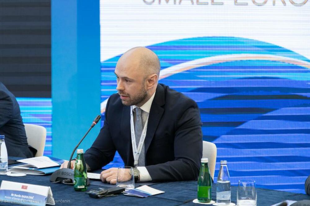 Radulović govori na konferenciji, Foto: MVP