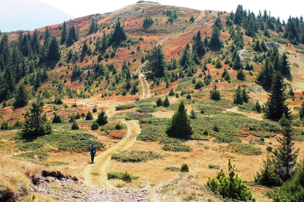 Foto: Jasninaputovanja.me