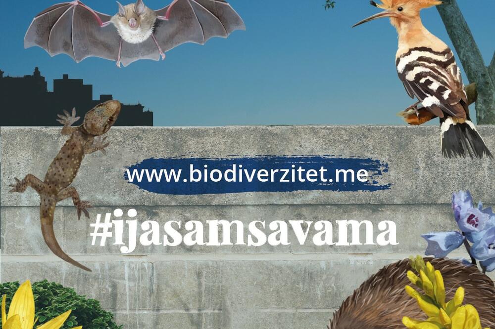 Foto: EU info centar