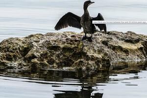 Zašto je Ohrid zanemareni evropski Galapagos