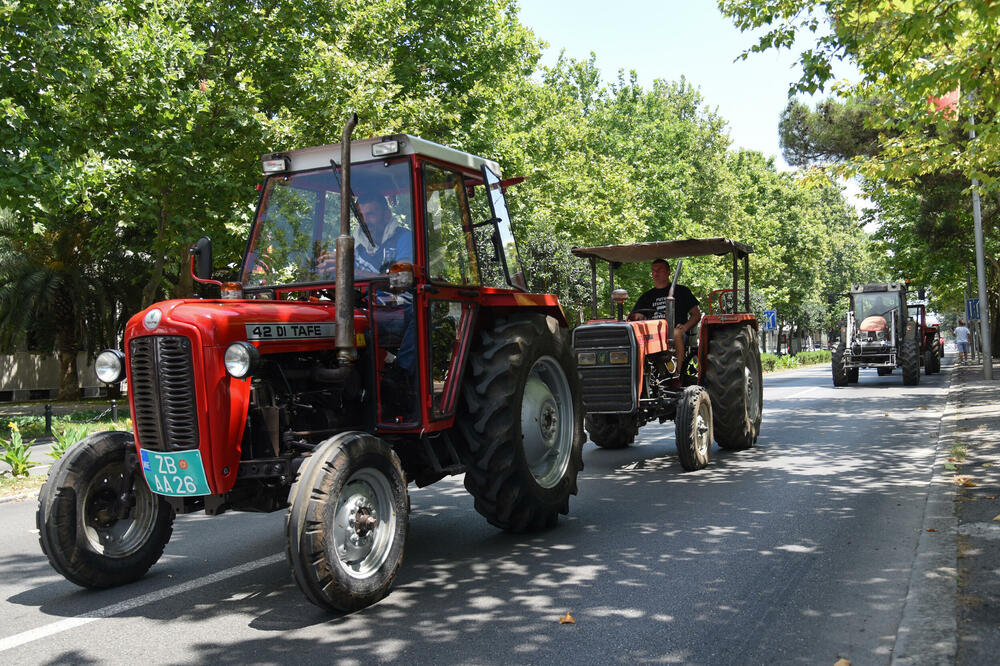 Sa protesta u julu, Foto: SAVO PRELEVIC