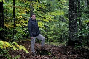 Pejović: Analiza gazdovanja šumama pokazuje zabrinjavajuće...