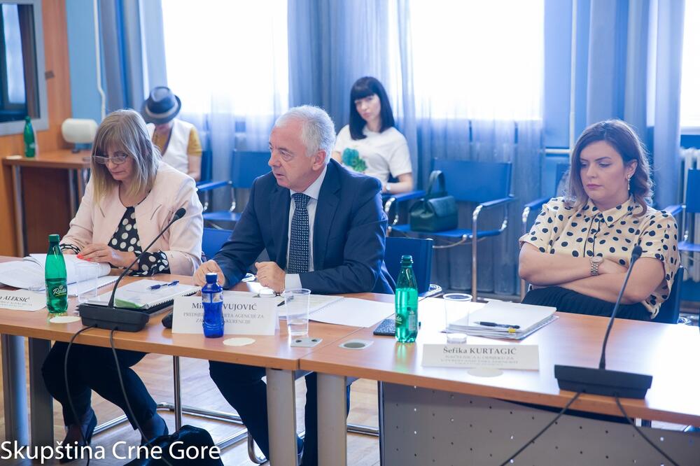 AZK od jula 2018. kontroliše dodjelu državne pomoći: Aleksićeva i Vujović, Foto: Igor Sljivancanin