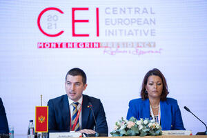 Bečić: Crna Gora privržena vrijednostima i politikama EU