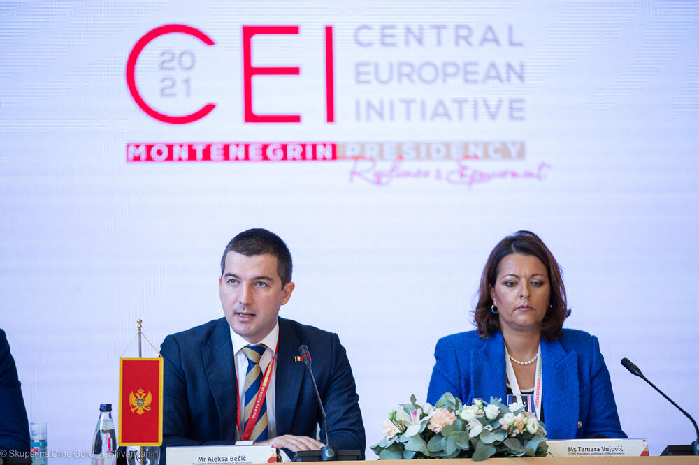 Bečić, Foto: Skupština Crne Gore