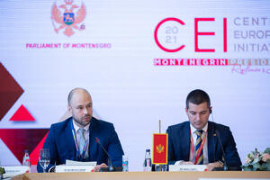 Radulović: Crna Gora snažno posvećena regionalnoj saradnji