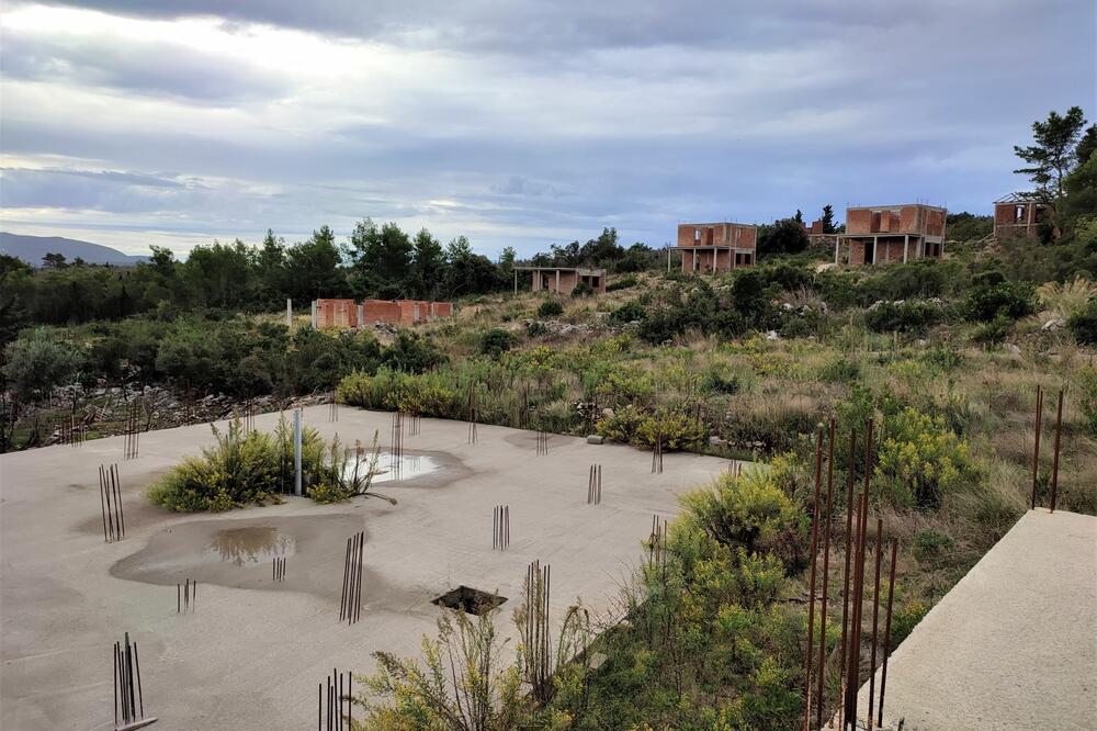 Foto: Siniša Luković