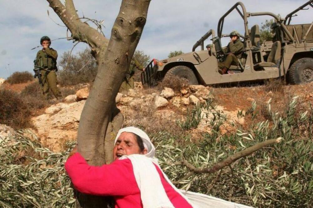 Fotografija koju je dostavila Ambasada Palestine u Crnoj Gori, Foto: Ambasada Palestine u Crnoj Gori