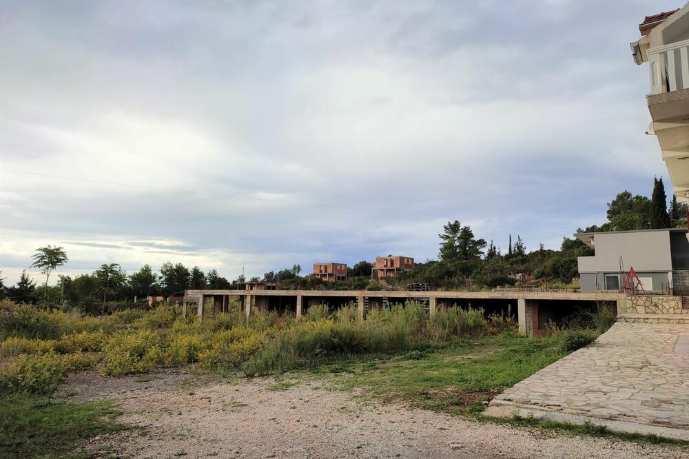 Foto: Siniša Luković