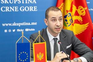 Klarić: EK ocijenila da je crnogorski parlament unaprijedio i...