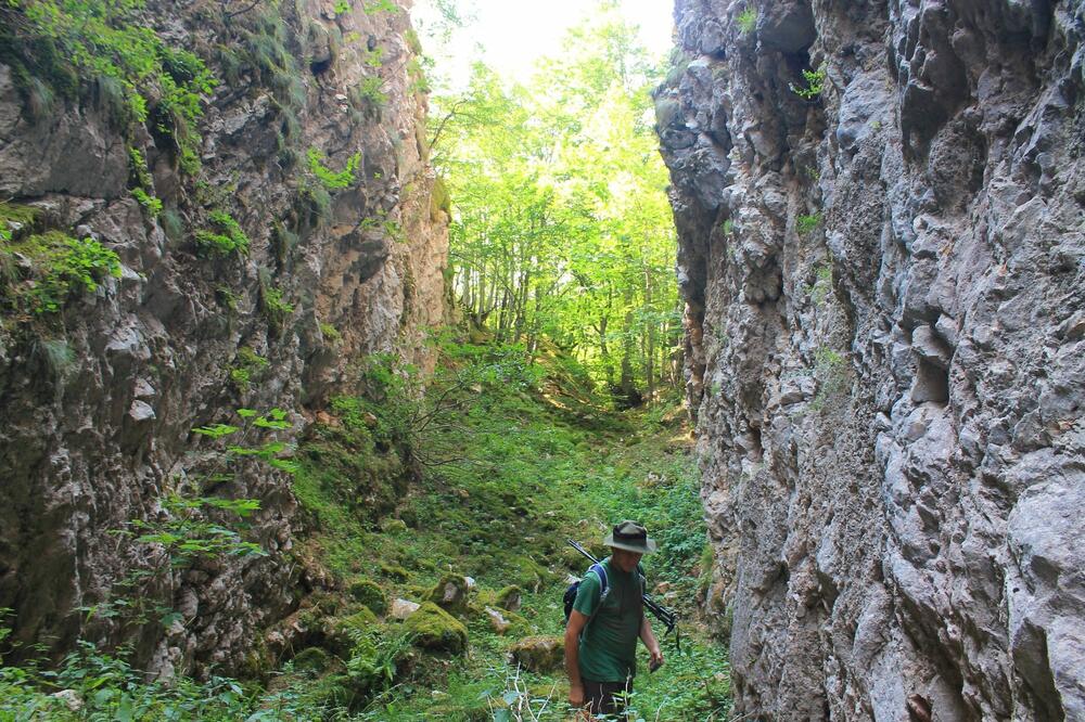 Foto: Jasna Gajević