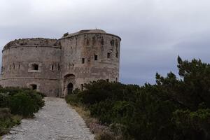 Ogorodov: Nemam ništa sa nezakonitom djelatnošću