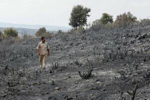 Šumski požari i Sirija: Pogubljeno 24 ljudi, osuđeni za izazivanje...